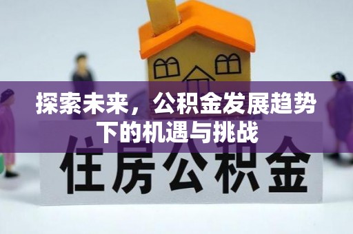 青铜峡探索未来，公积金发展趋势下的机遇与挑战